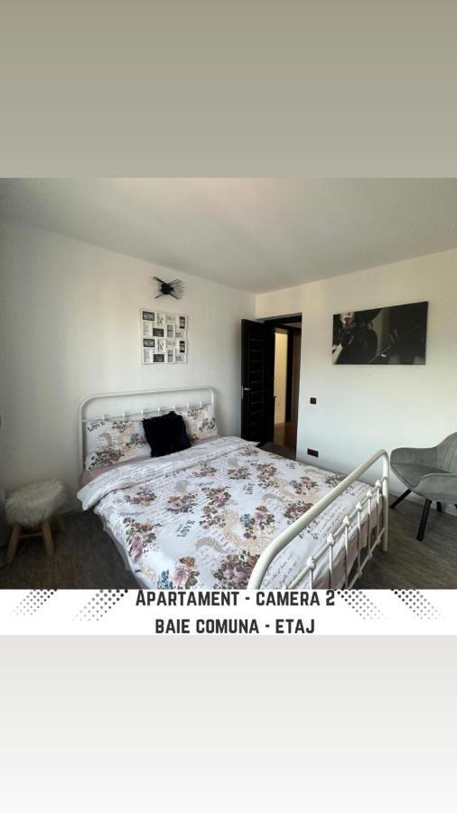 Vila Mik Guesthouse Sacele Ngoại thất bức ảnh